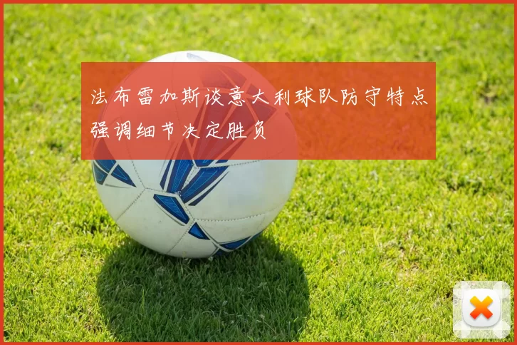 法布雷加斯谈意大利球队防守特点强调细节决定胜负